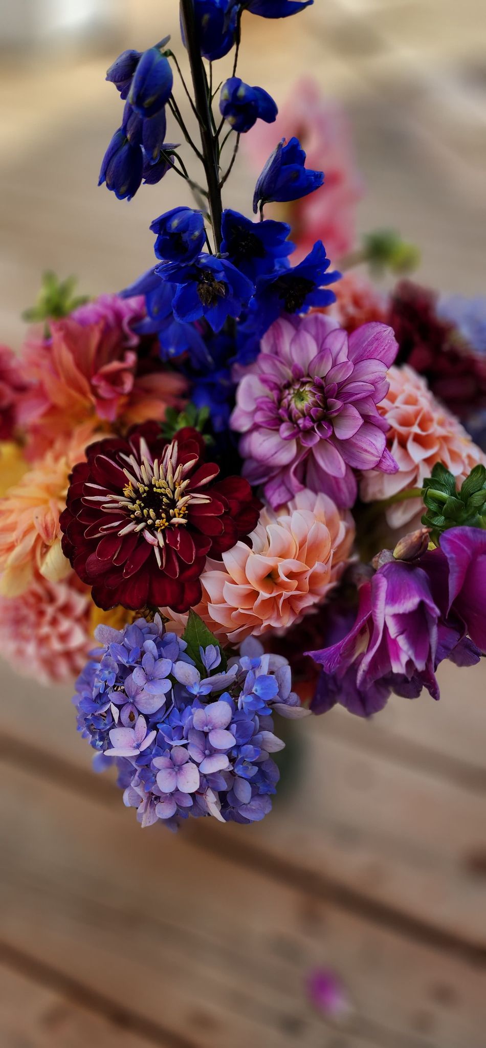 CROWSNEST PASS & AREA: 4 SPRING - FALL BOUQUETS