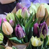 LETHBRIDGE & AREA: 8 SPRING TO FALL BOUQUETS